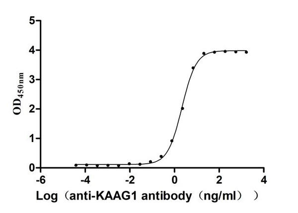 product-image-AAA279253_BIOACTIVITY13.jpg