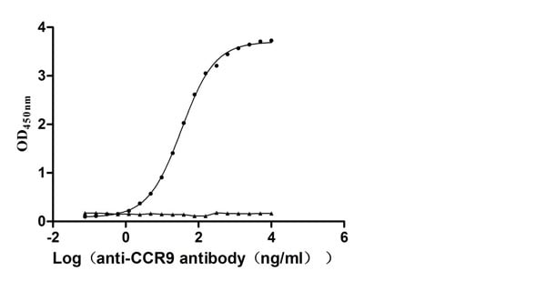 product-image-AAA279259_BIOACTIVITY11.jpg