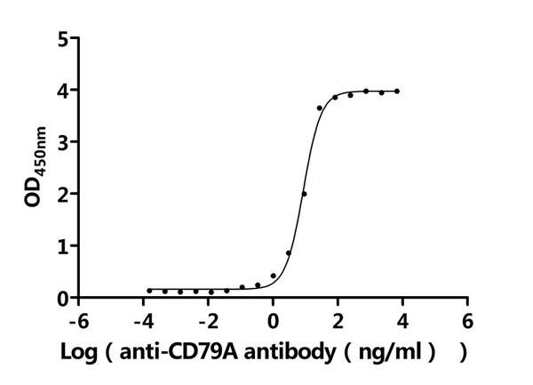 product-image-AAA279339_BIOACTIVITY13.jpg
