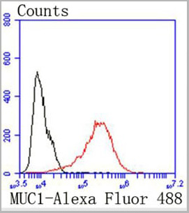 product-image-AAA27933_FCM6.jpg