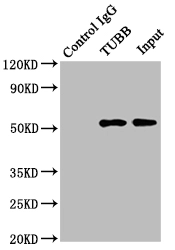 product-image-AAA28058_IP20.jpg