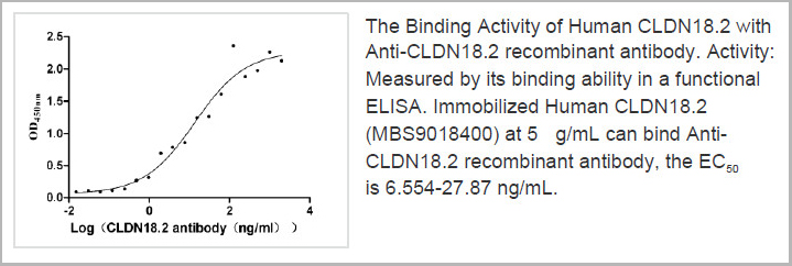 product-image-AAA28059_ELISA2.jpg