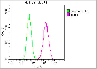 product-image-AAA28063_FCM12.jpg