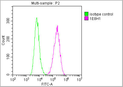 product-image-AAA28063_FCM9.jpg