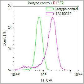 product-image-AAA28071_FCM6.jpg