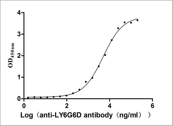 product-image-AAA28075_ELISA.jpg
