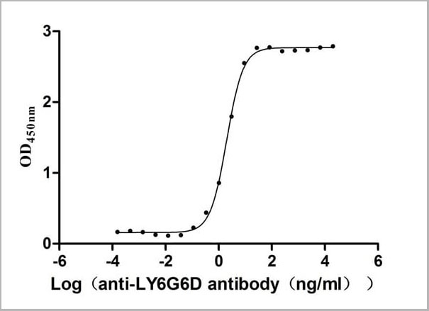 product-image-AAA28075_ELISA2.jpg