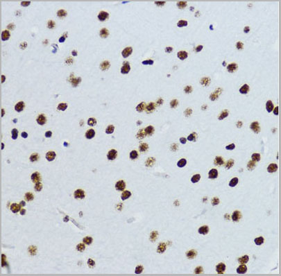 product-image-AAA28124_IHC6.jpg