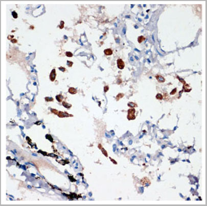 product-image-AAA28140_IHC3.jpg