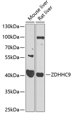 product-image-AAA28212_WB.jpg
