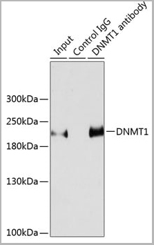 product-image-AAA28335_IP10.jpg