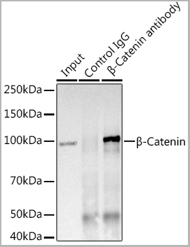 product-image-AAA28382_IP9.jpg