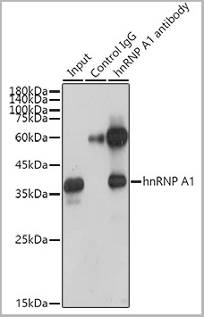 product-image-AAA28461_IP7.jpg