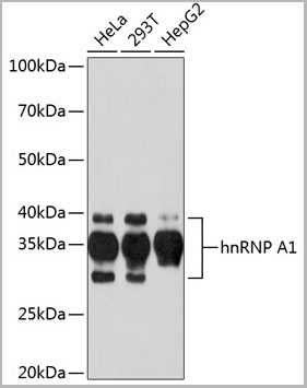 product-image-AAA28461_WB.jpg