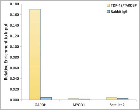 product-image-AAA28493_ChIP13.jpg