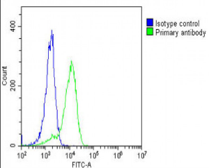 product-image-AAA285078_FCM.png
