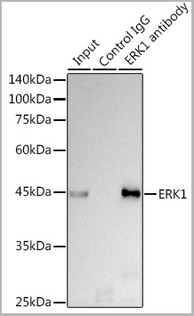 product-image-AAA28508_IP8.jpg