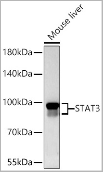 product-image-AAA28509_IHC4.jpg
