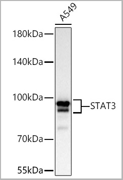 product-image-AAA28509_WB3.jpg