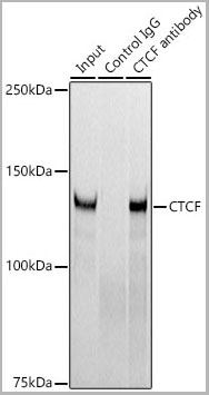 product-image-AAA28513_IP5.jpg