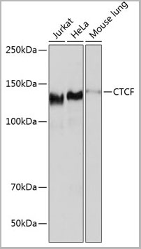 product-image-AAA28513_WB3.jpg
