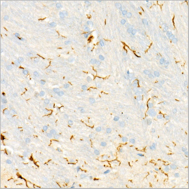 product-image-AAA28552_IHC6.jpg