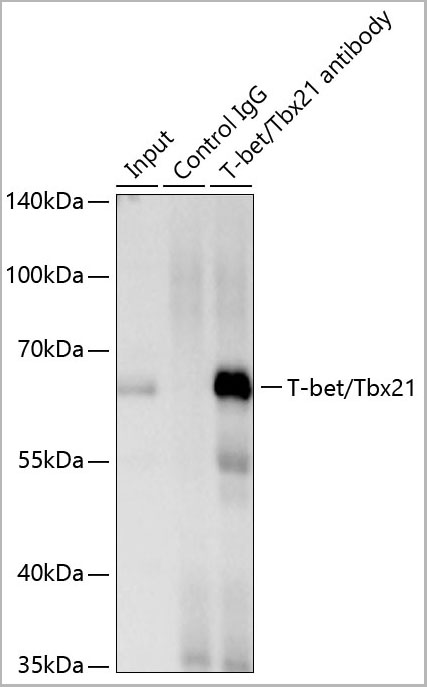 product-image-AAA28562_IP7.jpg