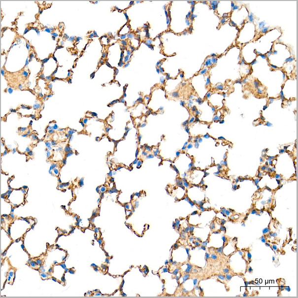 product-image-AAA28574_IHC7.jpg