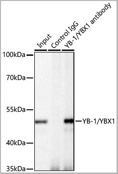 product-image-AAA28602_IP11.jpg