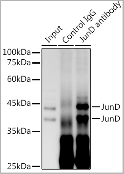 product-image-AAA28606_IHC5.jpg