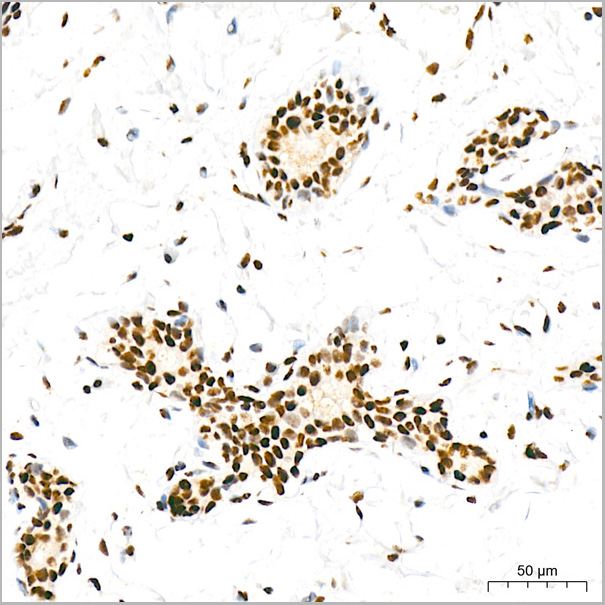 product-image-AAA28613_IHC9.jpg
