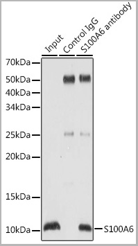 product-image-AAA28618_IP6.jpg