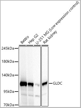 product-image-AAA28621_WB.jpg