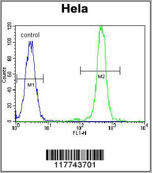 product-image-AAA28651_FCM6.jpg