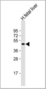 product-image-AAA28671_WB4.jpg