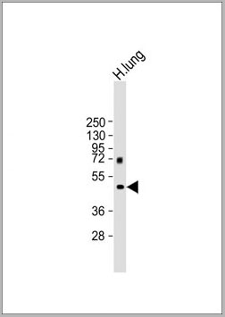 product-image-AAA28713_WB3.jpg