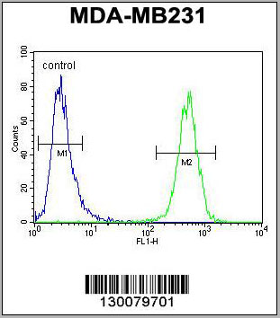 product-image-AAA28722_FCM6.jpg