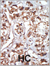 product-image-AAA28727_IHC2.jpg
