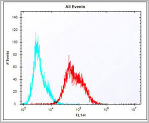 product-image-AAA28766_FCM2.jpg