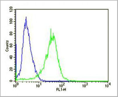 product-image-AAA28774_FCM7.jpg