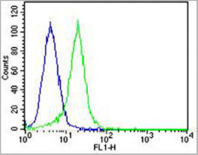 product-image-AAA28788_FCM8.jpg