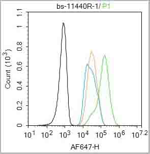 product-image-AAA28811_FCM2.jpg