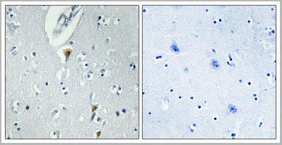 product-image-AAA28928_IHC7.jpg