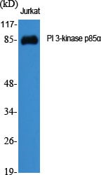 product-image-AAA295597_DILUTION15.jpg