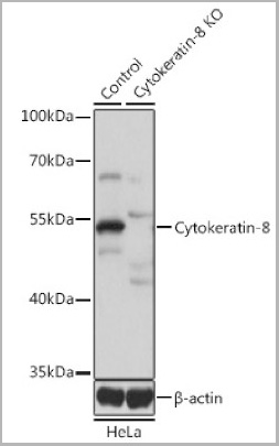 product-image-AAA29673_WB2.jpg