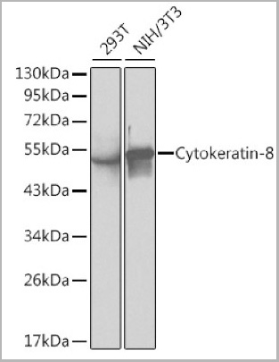 product-image-AAA29673_WB3.jpg