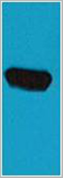 product-image-AAA29685_WB.jpg