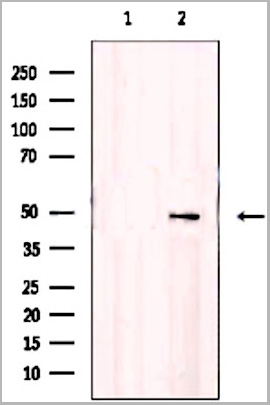 product-image-AAA29712_WB6.jpg