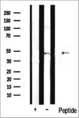 product-image-AAA29712_WB8.jpg