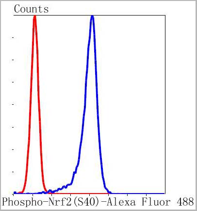 product-image-AAA29775_FCM8.jpg